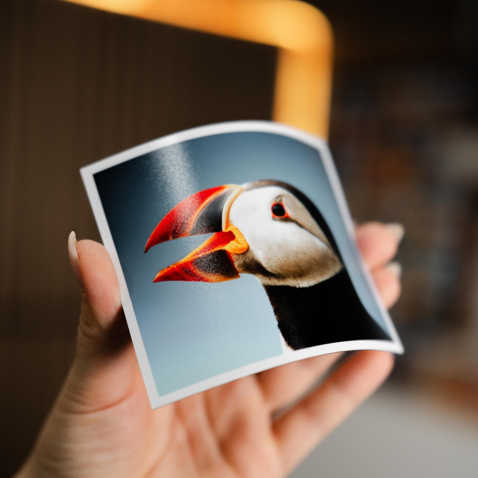 Custom Photo Magnets